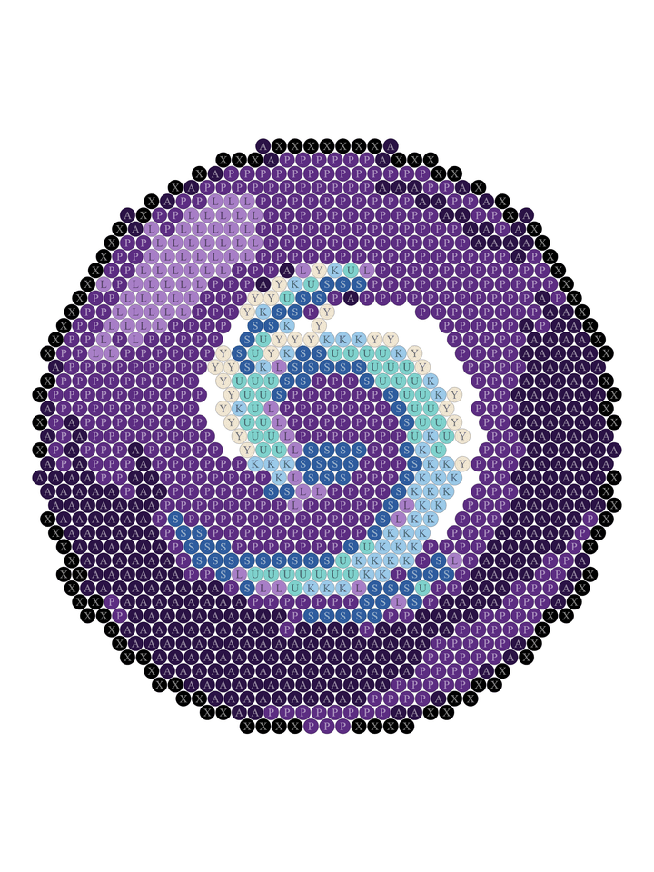 Purple Snail