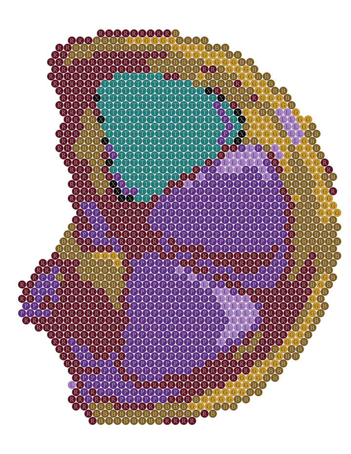 Zodiac Portrait
